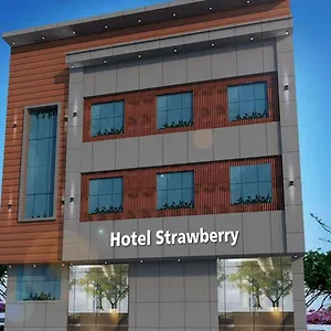 strawberry.shimlahotels.net/